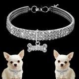 Collier pour chien en strass étincelants - Cristal pour chiot