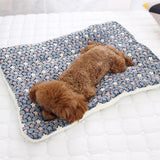 Couverture apaisante confortable pour animaux de compagnie