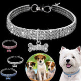 Collier pour chien en strass étincelants - Cristal pour chiot